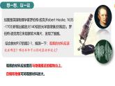 2.1.1 光学显微镜 课件----2024-2025学年北师大（2024版）七年级生物上册