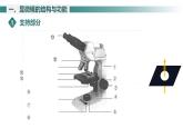 2.1.1 光学显微镜 课件----2024-2025学年北师大（2024版）七年级生物上册