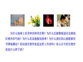 1.1.2 生物学是探索生命的科学  课件----2024-2025学年北师大（2024版）七年级生物上册