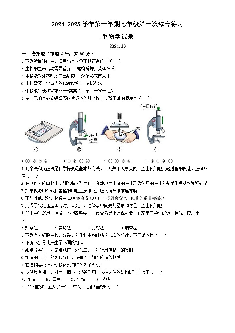 山东省德州市临邑县双语中学2024-2025学年七年级上学期10月月考生物试题(无答案)01