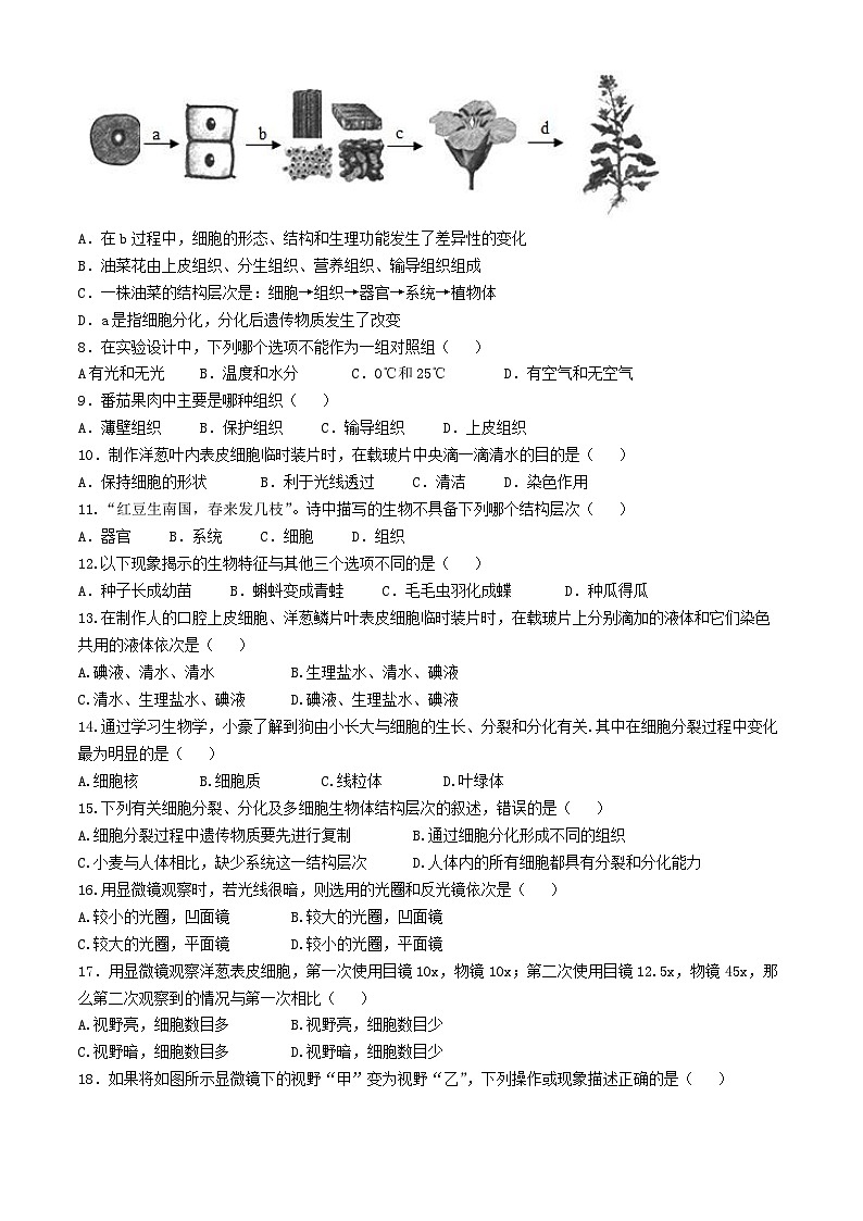 山东省德州市临邑县双语中学2024-2025学年七年级上学期10月月考生物试题(无答案)02