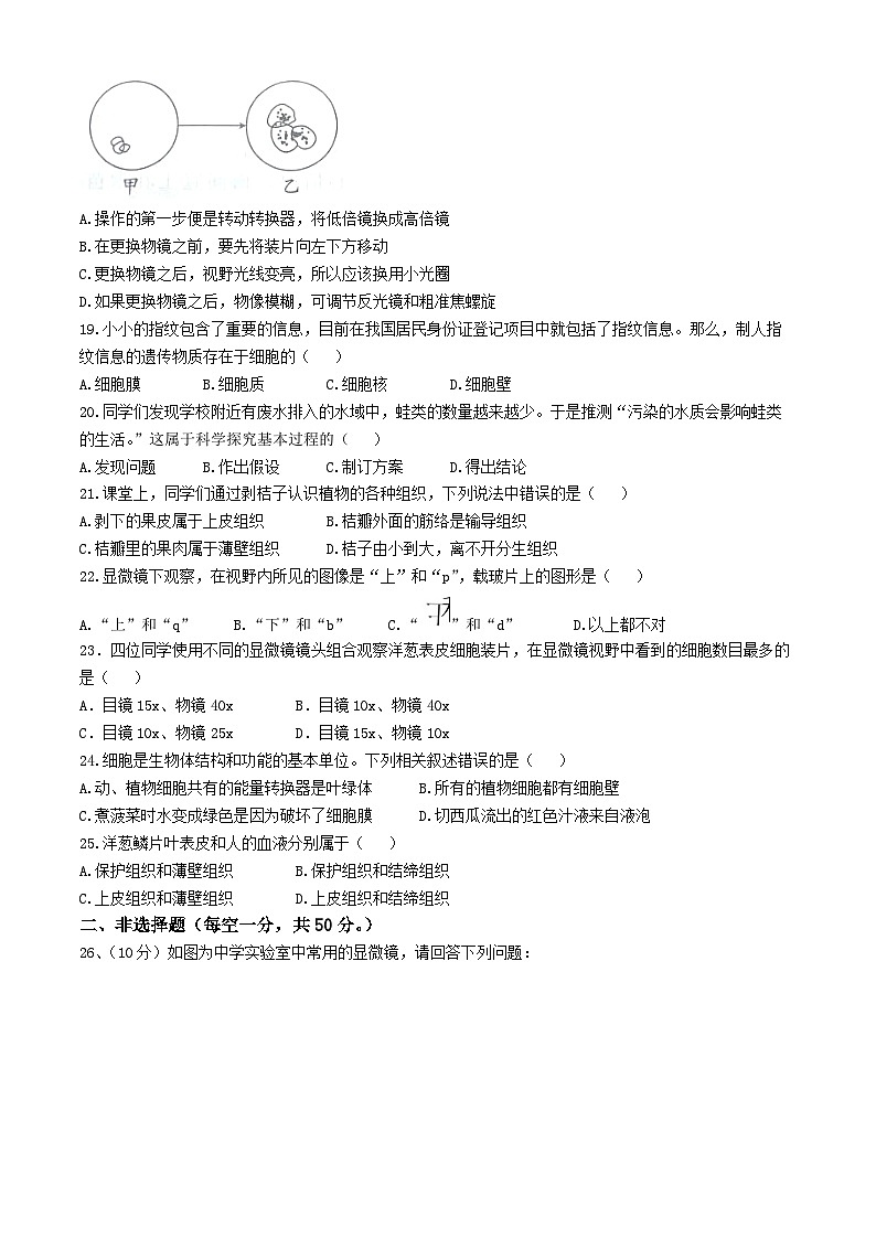 山东省德州市临邑县双语中学2024-2025学年七年级上学期10月月考生物试题(无答案)03