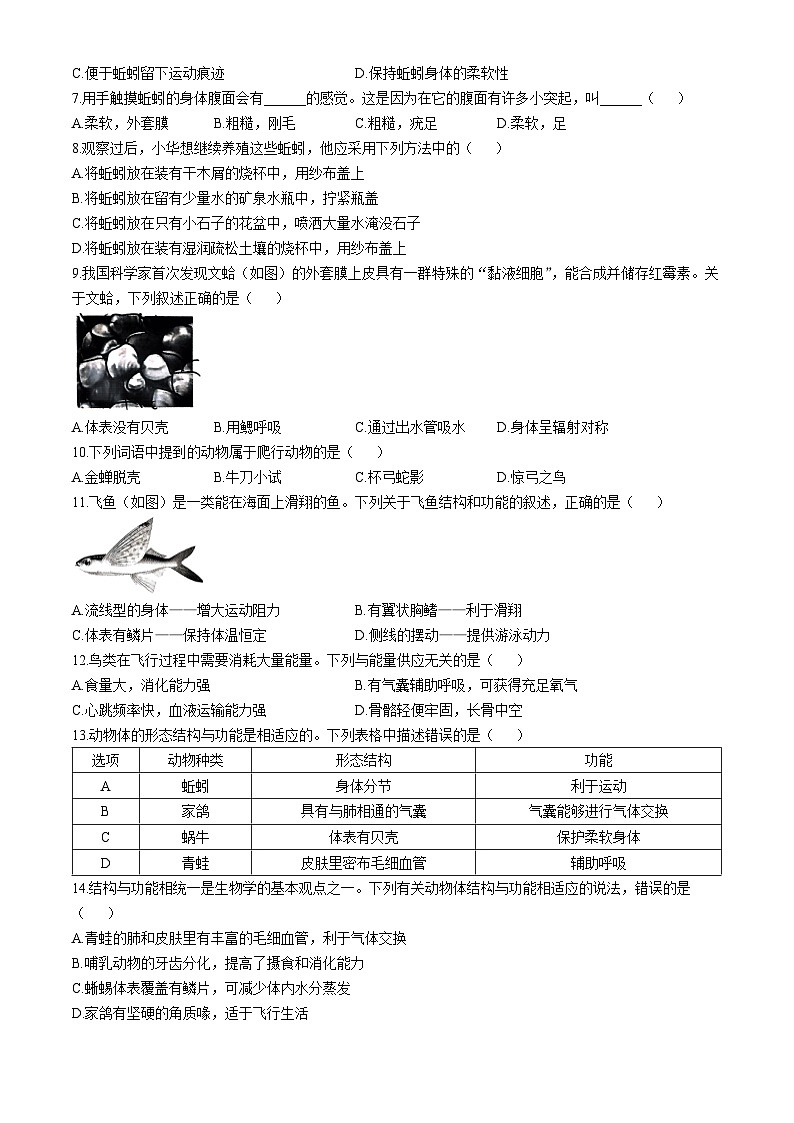 山西省大同市第一中学校2024-2025学年八年级上学期学业水平质量检测生物试题第2页