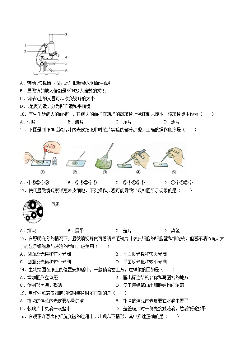 山东省临沂第六中学2024-2025学年七年级上学期10月月考生物试题(无答案)第2页