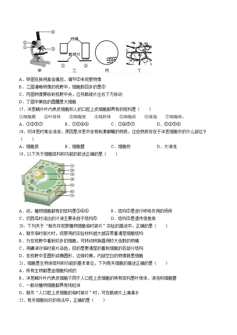山东省临沂第六中学2024-2025学年七年级上学期10月月考生物试题(无答案)第3页