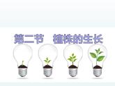 植株的生长课件、教学设计、作业设计、课堂实录