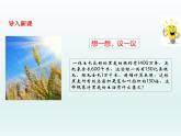 植株的生长课件、教学设计、作业设计、课堂实录