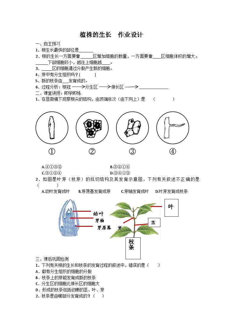 植株的生长课件、教学设计、作业设计、课堂实录01