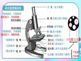 24秋  生物学 人教版 七年级上册 【教学课件】 1. 第一单元  生物和细胞 2. 第二章  认识细胞 1.2.1  学习使用显微镜