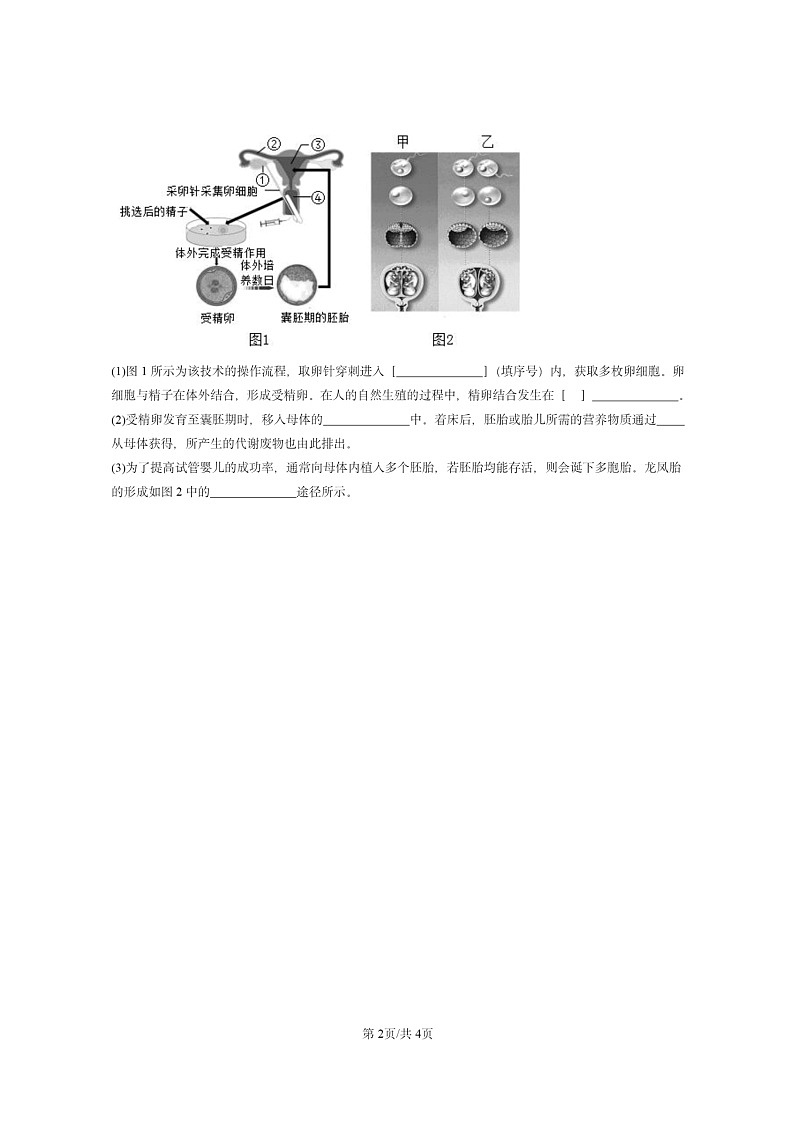[生物]2022～2024北京重点校初二上学期期末真题分类汇编：人的生殖和发育(京改版)第2页