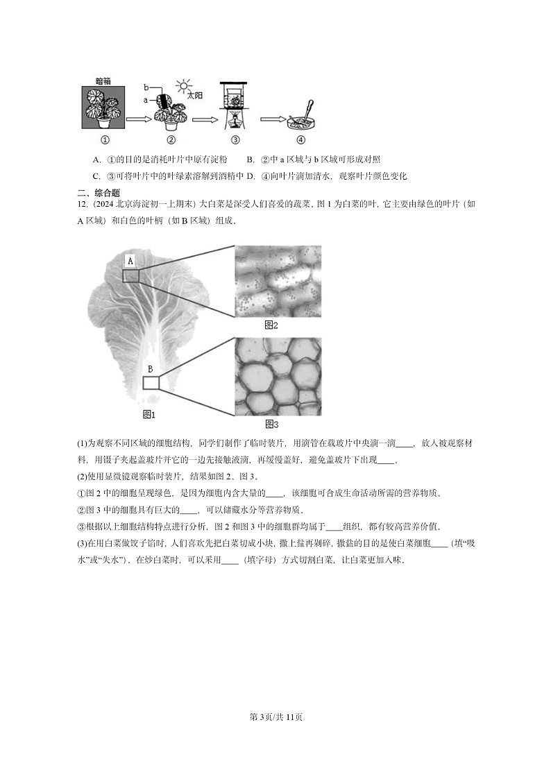 [生物]2024北京重点校初一上学期期末真题分类汇编：的营养章节综合(京改版)第3页
