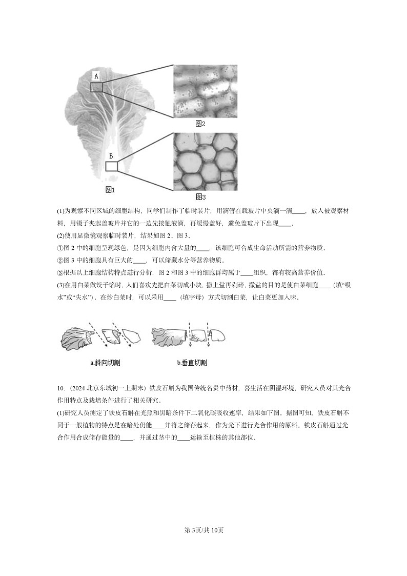 [生物]2024北京重点校初一上学期期末真题分类汇编：绿色植物的光合作用(京改版)第3页
