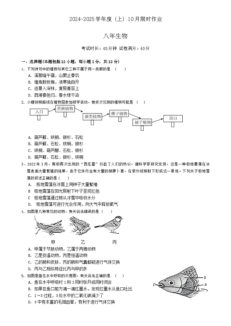 辽宁省鞍山市第二十六中学、高新实验学校2024-2025学年八年级上学期10月月考生物试卷第1页