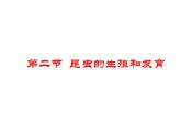 人教版初中生物 八年级下册第二节_昆虫的生殖和发育（课件PPT）