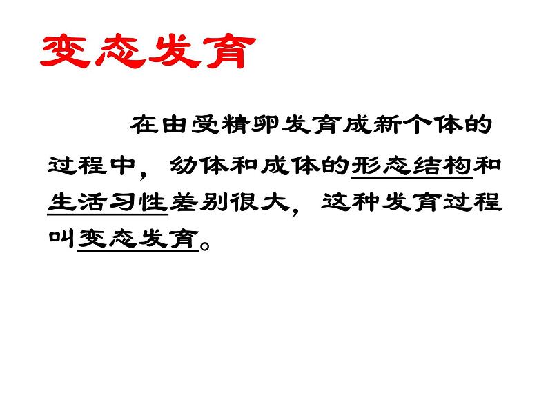 人教版初中生物 八年级下册第二节_昆虫的生殖和发育（课件PPT）第4页