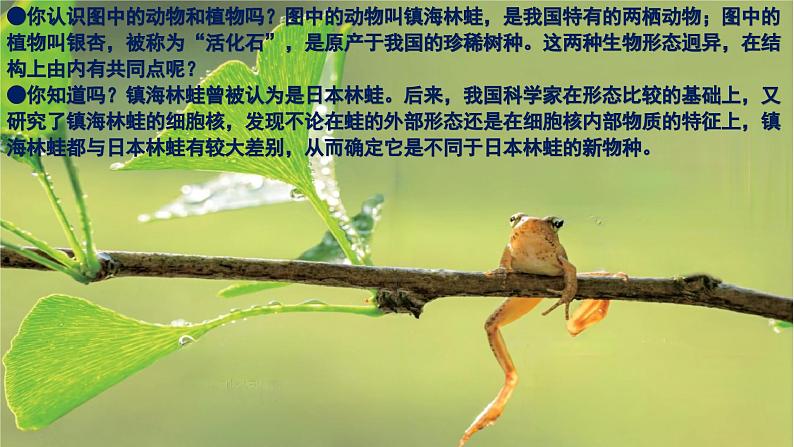 1.1.1 观察周边环境中的生物-初中生物七年级上册 同步教学课件（人教版2024）第3页