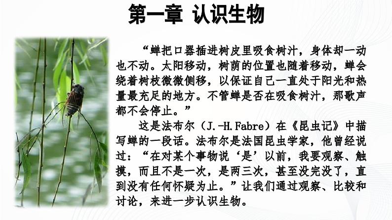 1.1.1 观察周边环境中的生物-初中生物七年级上册 同步教学课件（人教版2024）第5页