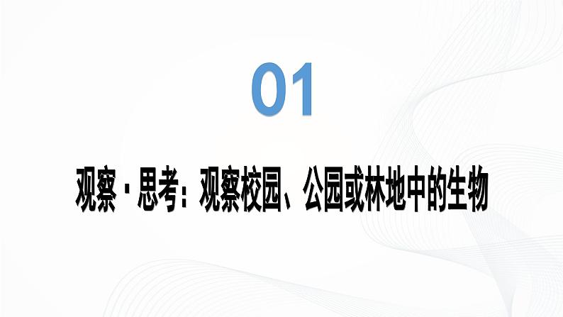 1.1.1 观察周边环境中的生物-初中生物七年级上册 同步教学课件（人教版2024）第7页