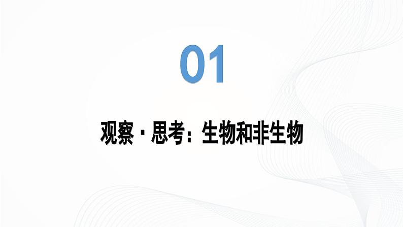 1.1.2 生物的特征-初中生物七年级上册 同步教学课件+教学设计（人教版2024）05