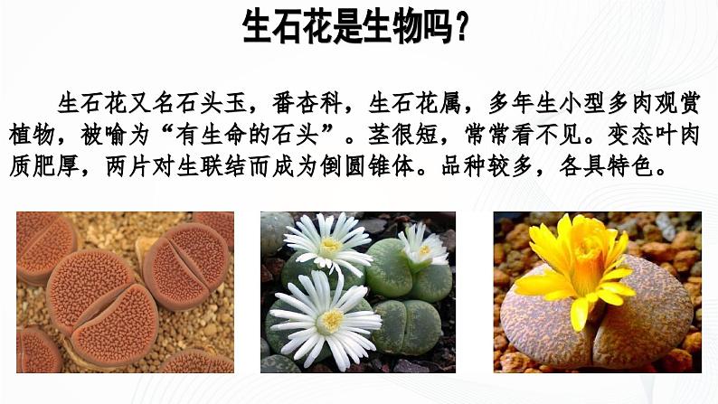 1.1.2 生物的特征-初中生物七年级上册 同步教学课件+教学设计（人教版2024）06