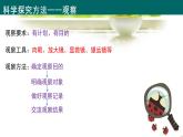 人教版（2024新版）七年级上册生物第1单元 生物和细胞 复习课件