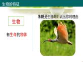 人教版（2024新版）七年级上册生物第1单元 生物和细胞 复习课件