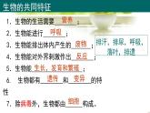 人教版（2024新版）七年级上册生物第1单元 生物和细胞 复习课件