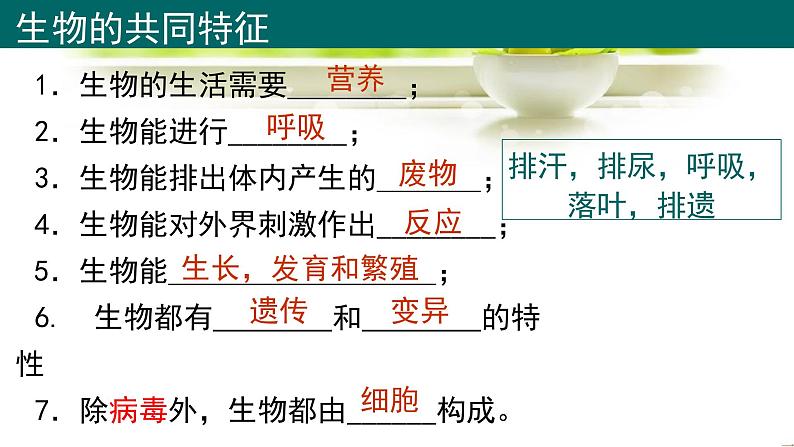 人教版（2024新版）七年级上册生物第1单元 生物和细胞 复习课件第4页