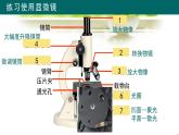 人教版（2024新版）七年级上册生物第1单元 生物和细胞 复习课件