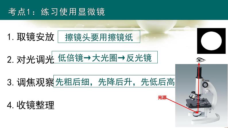 人教版（2024新版）七年级上册生物第1单元 生物和细胞 复习课件第6页