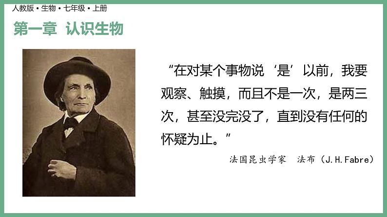 1.1.1观察周边环境中的生物课件----2024-2025学年人教版（2024）生物七年级上册02