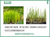 1.1.1观察周边环境中的生物课件----2024-2025学年人教版（2024）生物七年级上册