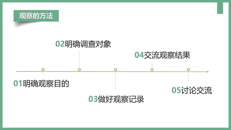 1.1.1观察周边环境中的生物课件----2024-2025学年人教版（2024）生物七年级上册07