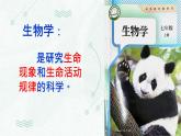 1.1.1观察周边环境中的生物课件---2024-2025学年人教版（2024）生物七年级上册