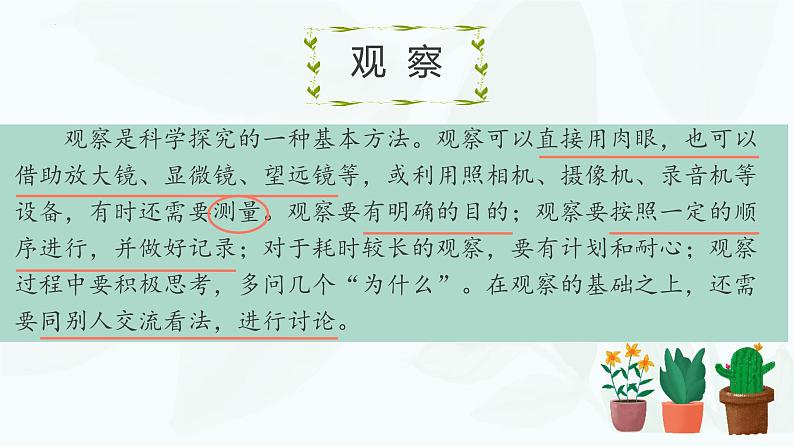 1.1.1观察周边环境中的生物课件---2024-2025学年人教版（2024）生物七年级上册07