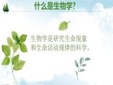 1.1.1观察周边环境中的生物课件--2024-2025学年人教版（2024）生物七年级上册