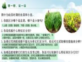 1.1.1观察周边环境中的生物课件--2024-2025学年人教版（2024）生物七年级上册
