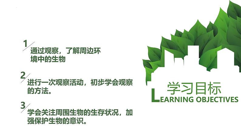 1.1.1观察周边环境中的生物课件--2024-2025学年人教版（2024）生物七年级上册第4页