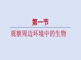 1.1.1观察周边环境中的生物课件2024-2025学年人教版（2024）生物七年级上册