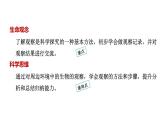 1.1.1观察周边环境中的生物课件2024-2025学年人教版（2024）生物七年级上册