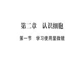 1.2.1学习使用显微镜习题课件--2024-2025学年人教版（2024）生物七年级上册