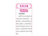 1.2.1学习使用显微镜习题课件--2024-2025学年人教版（2024）生物七年级上册