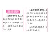 1.2.1学习使用显微镜习题课件--2024-2025学年人教版（2024）生物七年级上册