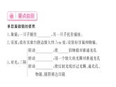1.2.1学习使用显微镜习题课件--2024-2025学年人教版（2024）生物七年级上册