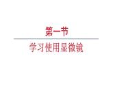 1.2.1学习使用显微镜课件  2024-2025学年人教版（2024）生物七年级上册