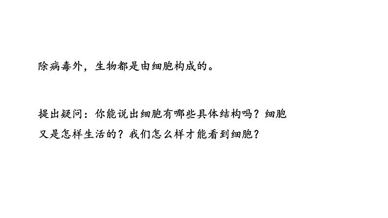 1.2.1学习使用显微镜课件  2024-2025学年人教版（2024）生物七年级上册第4页