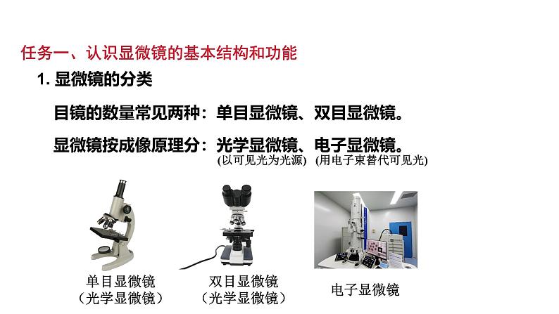 1.2.1学习使用显微镜课件  2024-2025学年人教版（2024）生物七年级上册第6页