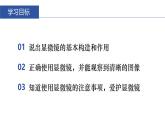 1.2.1学习使用显微镜课件 2024-2025学年人教版（2024）生物七年级上册