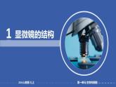 1.2.1学习使用显微镜课件 2024-2025学年人教版（2024）生物七年级上册