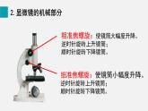1.2.1学习使用显微镜课件--2024-2025学年人教版（2024）生物七年级上册